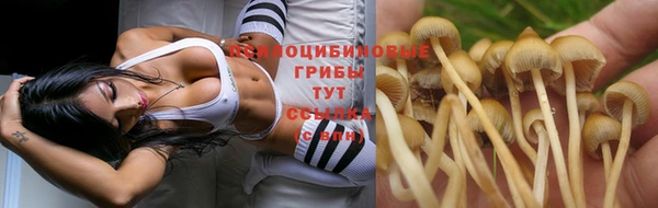 крисы Остров
