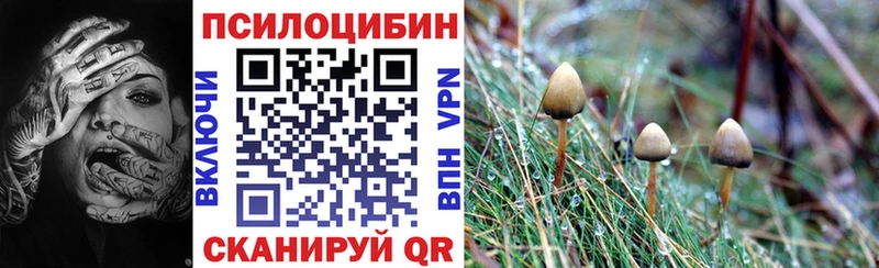 где купить наркотик  Тосно  hydra зеркало  Галлюциногенные грибы Magic Shrooms 