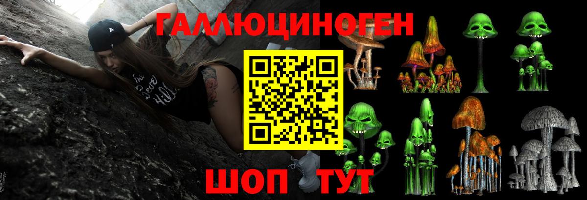Псилоцибиновые грибы Psilocybe  Вход с VPN  Галлюциногенные грибы Psilocybe  Тосно 